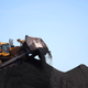 Coal in precarious places.